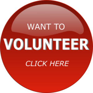 volunteer-button-hi